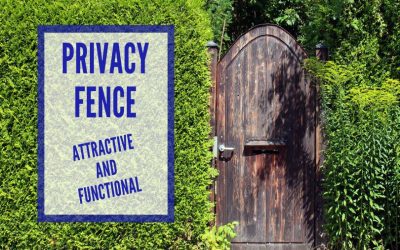 Privacy Fence Ideas That Are Attractive and Functional